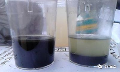 快速分解底泥,降氨氮 亞鹽,這種超高活性礦物質(zhì)產(chǎn)品到底什么來(lái)頭